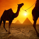 Illustration for article titled A Fascinating New Alternate History In Which Egypt Rules The World